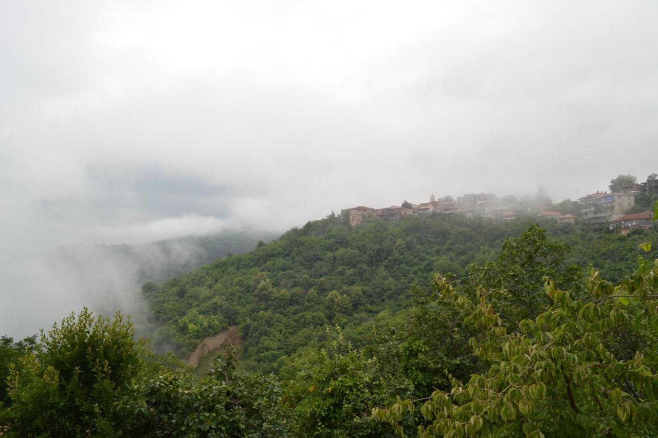 Tuta House Sighnaghi Otel Dış mekan fotoğraf