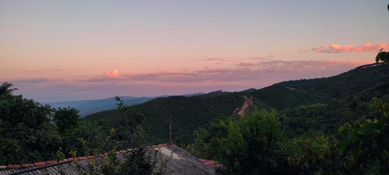 Tuta House Sighnaghi Otel Dış mekan fotoğraf