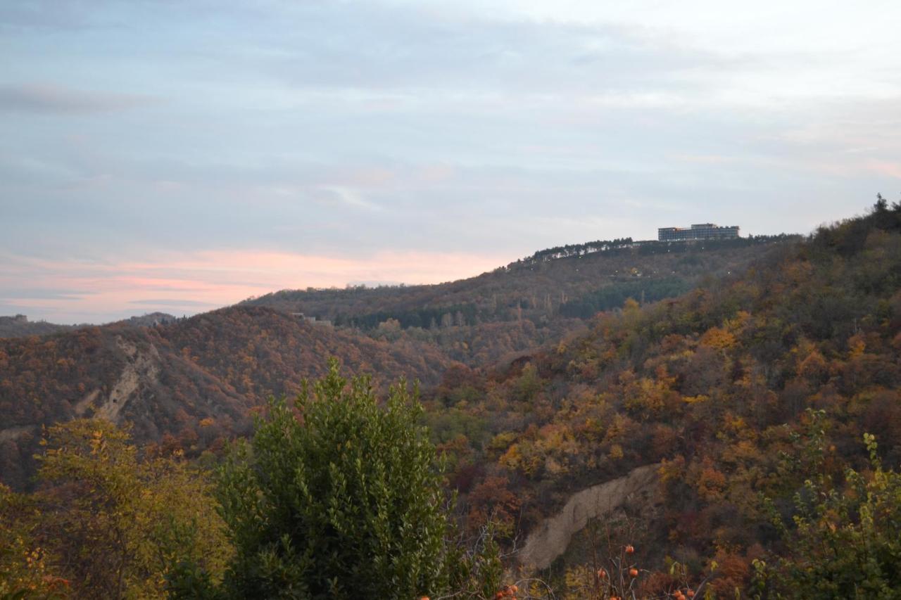 Tuta House Sighnaghi Otel Dış mekan fotoğraf