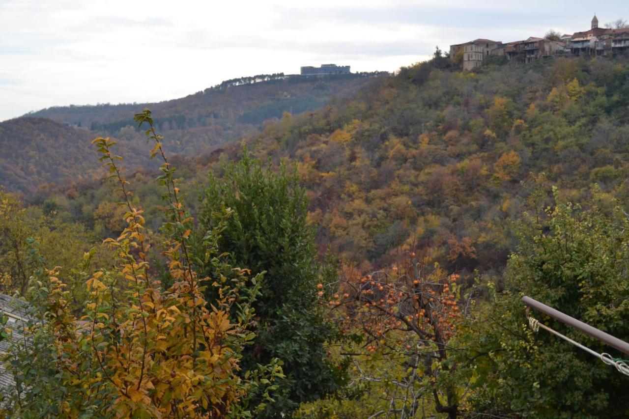 Tuta House Sighnaghi Otel Dış mekan fotoğraf