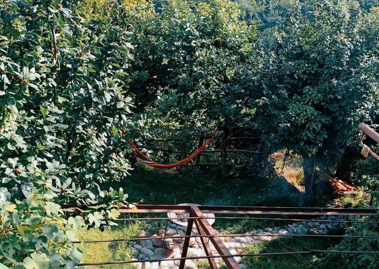 Tuta House Sighnaghi Otel Dış mekan fotoğraf