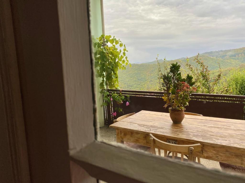 Tuta House Sighnaghi Otel Dış mekan fotoğraf